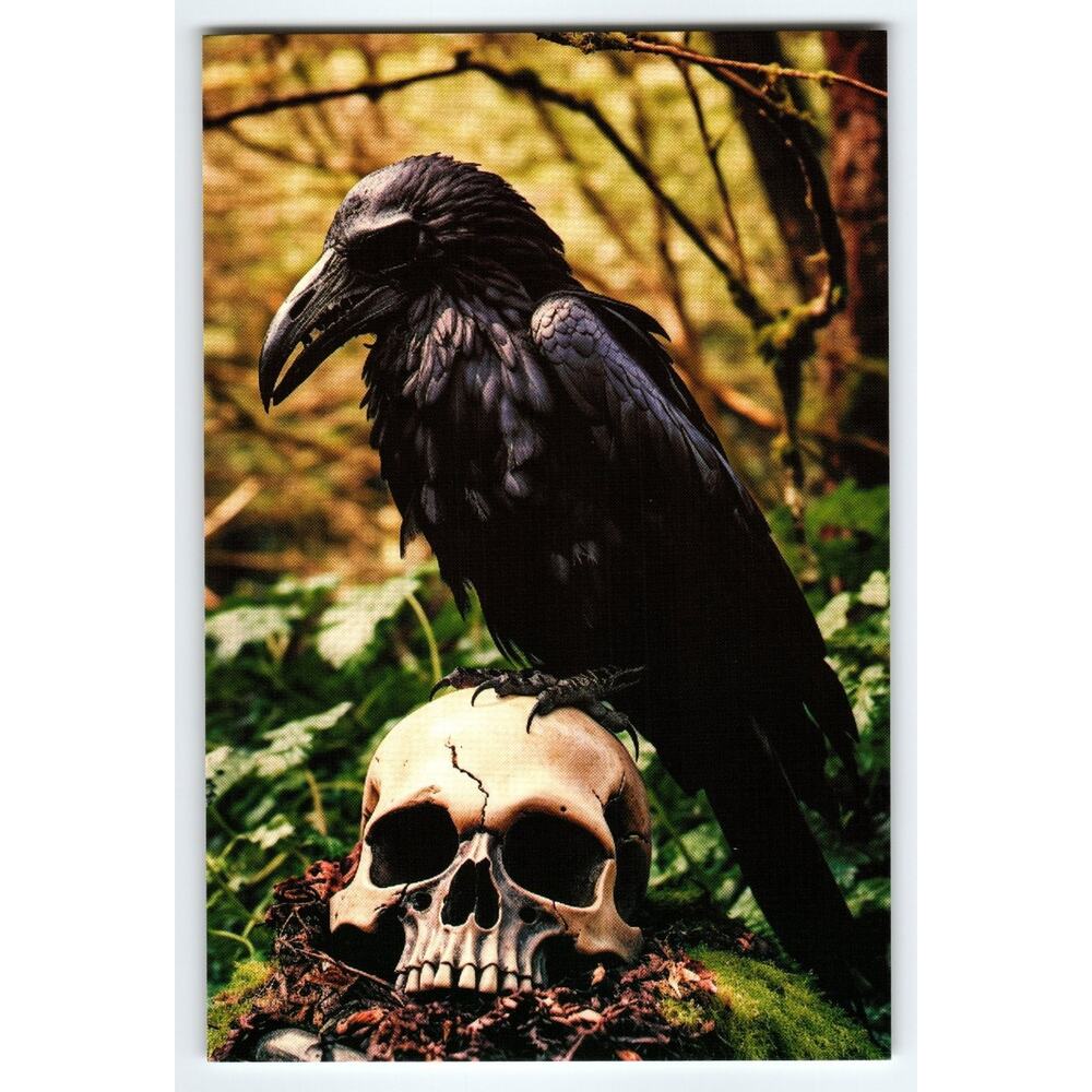 4x6 Glossy Color Photo Raven Perched on Human Skull Nature Scene